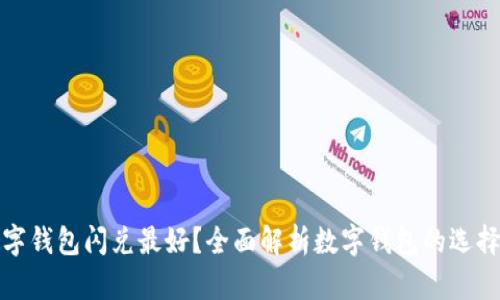 哪个数字钱包闪兑最好？全面解析数字钱包的选择与对比